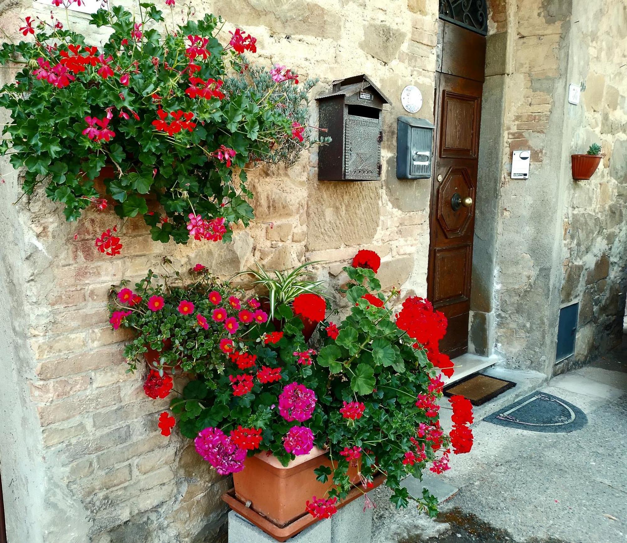 Casa Tarrini Apartment Chianni Luaran gambar